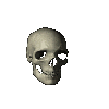 spinny skull
